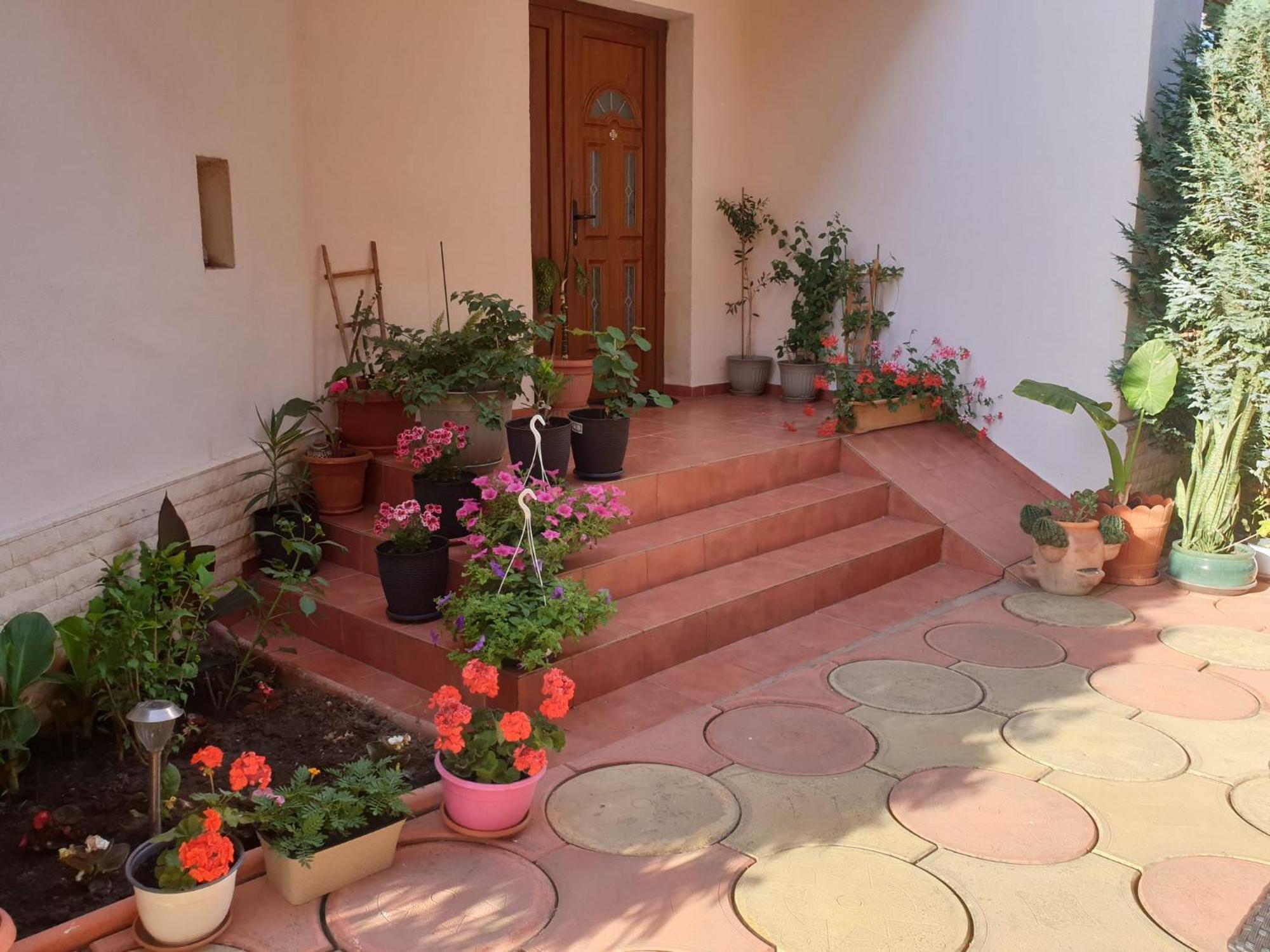 Casa Mary Hotel Costinesti Exterior foto